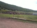 Stillmans Ranch