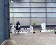 Jumping Stal Ceulemans