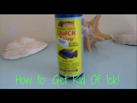 how to get rid ick