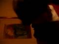 pacu cantando