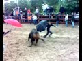 Feira de Maio 2008 - Azambuja
