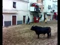 Feira de Maio 2008 - Azambuja