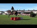 Hunt and Stunts - jumping, Amazing Horse Freestyle