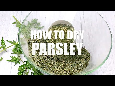 video-linktoworks-Drying Parsley || How To Dry Parsley