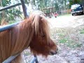 Mr Nibbles gets excited