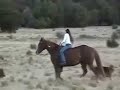 Riding Stomper Bareback Riding Stomper Bareback