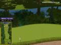 videos de Golden Tee Great Shot on Sunny Wood!