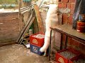 VIDEOS DE MIS HIJOS