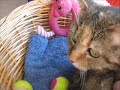 Mona la chatte Mona la chatte
