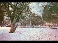 Nevada en Monterrey Enero 9 de 1967 (Monterrey Antiguo)