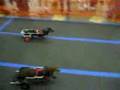 Weiner Dog Races, Cart Dogs