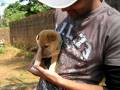videos de A**hole doggy - Part 1