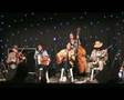 CROOKS - Porte d'Arriere- Cajun - ROOTS music