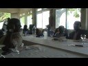 Amicale des Anciens de Faidherbe/Cheikh O. F. Tall