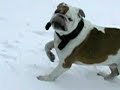babou dans la tempete