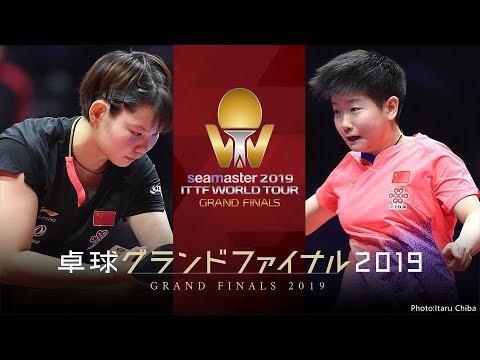 動画