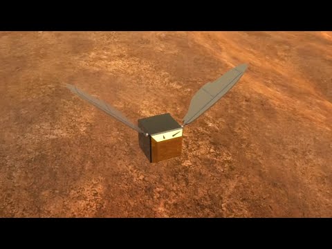Pläne der Nasa: Roboter-Bienen auf dem Mars