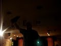 dancing-on-the-ceiling.html