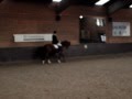 Wedstrijd 10 feb. B