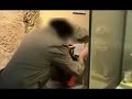 Banksy at the Museums!!!              ♥♥♥♥♥♥CULT VIDEO♥♥♥♥♥♥