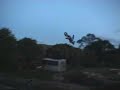Levi Sherwood Underflip Levi Sherwood Underflip