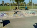 harrow skate harrow skate
