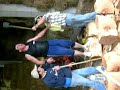 Basque Woodchopping Basque Woodchopping