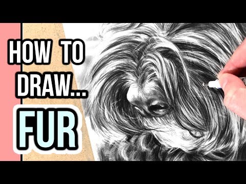 video-linktoworks-How to Draw Fur for Beginners | Drawing Realistic Fur...