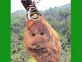 Un Jamon Serrano Canta-Singing Ham Leg
