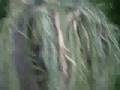 Ghillie suit airsoft