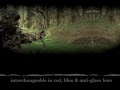 Night Archery World Debut from Australia Downunder