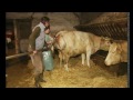 Maman Travaille!