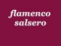 flamenco salsero vol2
