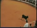 CLIP DE LA CHANSON DE DAXOU VERSION COURSE LANDAISE
