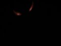 una parte de hellphone , la nueva pelicula de jean baptiste maunier.
