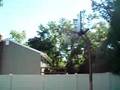 Amazing Baketball Shots 5 