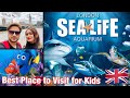 Sea Life London Aquarium Admission Ticket