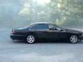 Trent-in-tha-PImpala