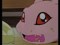 Digimon - Greymon vs Parrotmon (Tribute) Digimon - Greymon vs Parrotmon (Tribute)