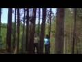 View the Video