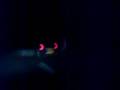 videos de Tigra GSi16v VS Stilo Abarth 2