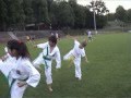 Taekwon-Do Kids Klasse Kanton Aargau - Peter Regan