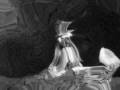 Flum-Nisse
