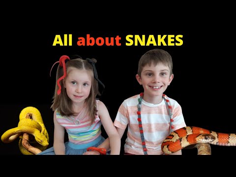 Interesting Facts About SNAKES for kids! 