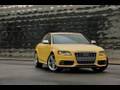 Pro Driver Allan mcnish & the 2010 Audi S4