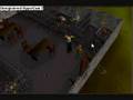 videos de the stray noob