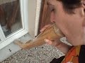 didgeridoo session Grenoble didgeridoo session Grenoble