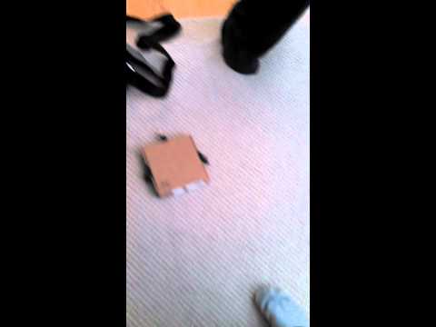 cardboard animals - We made a small robot chassis with a cardboard box and blue tape. Wired servos to an Arduino; and my friend programmed it. I think it turned out real well.