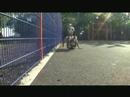 Freestyle archive - Abbas Farid