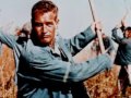 tribute to paul newman